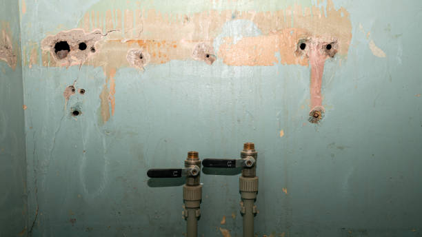 Best Wood Floor Water Damage Restoration in River Heights, UT