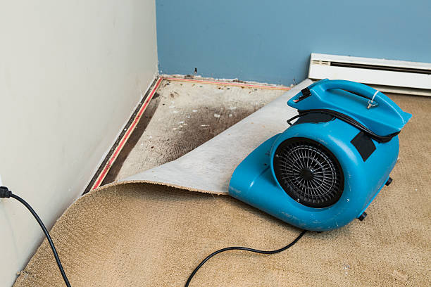 Best Crawl Space Water Damage Solutions in River Heights, UT